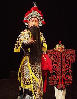 每日吃瓜《袁崇焕2009》免费在线观看