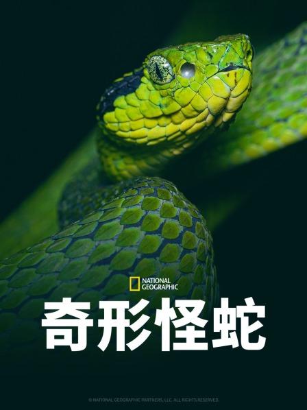 每日吃瓜《奇形怪蛇》免费在线观看